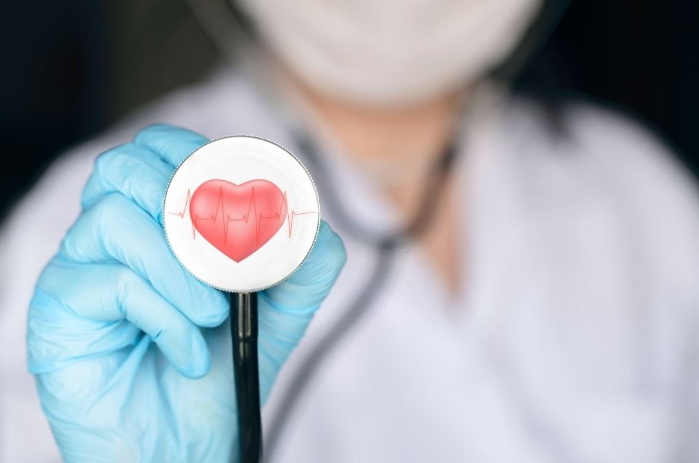 presupuestos de seguros de salud