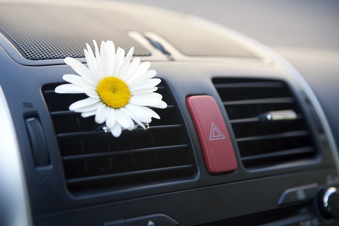 Fresh air. Car conditioning.
