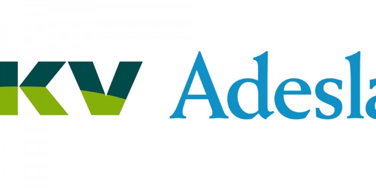 dkv-adeslas
