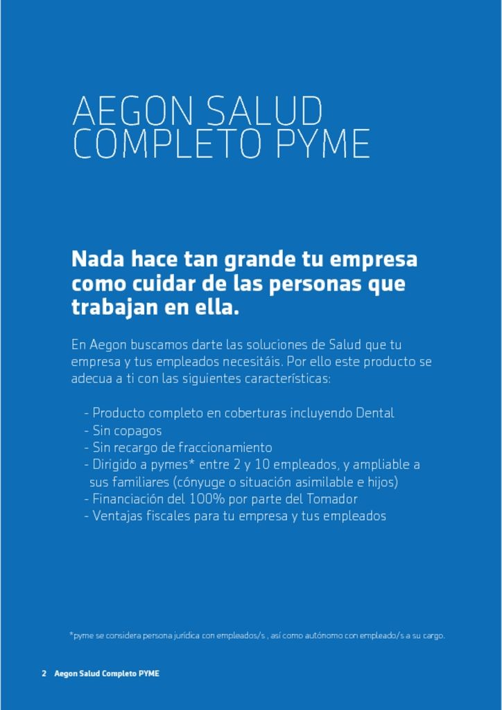 thumbnail of aegon-pyme
