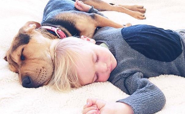 bebe-duerme-con-perro18