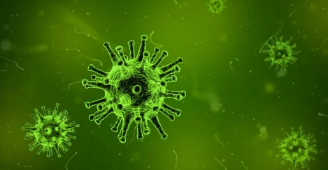 coronavirus