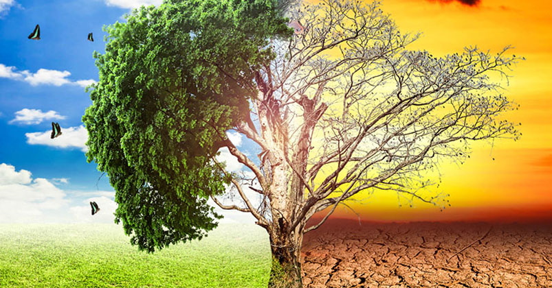 cambio climatico