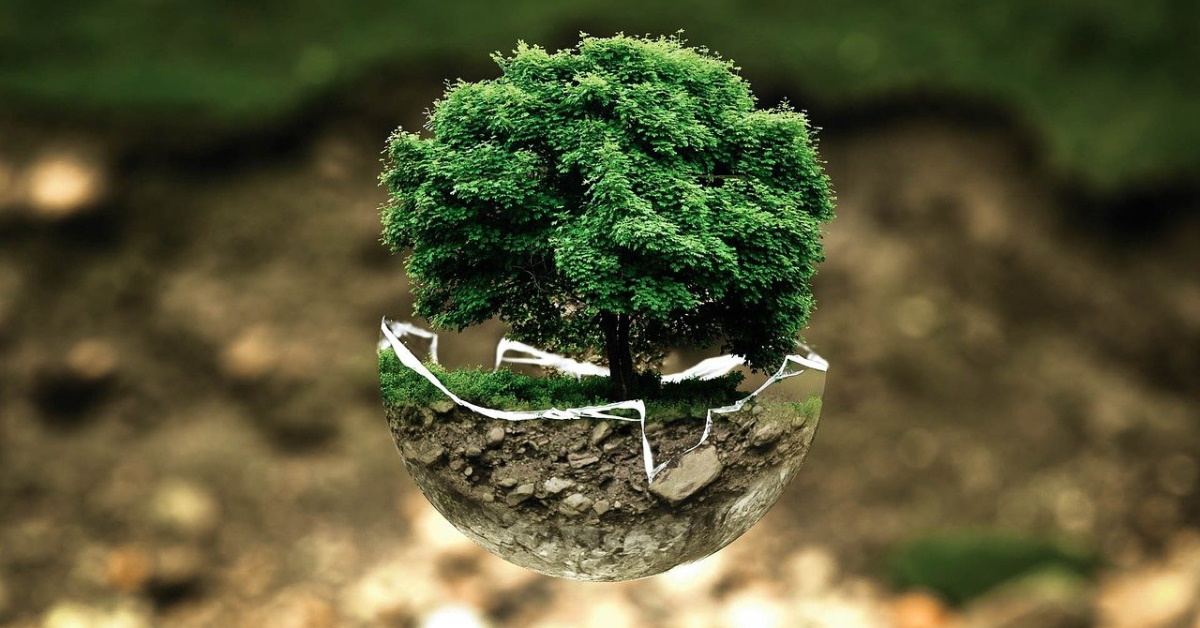 El reto de Healthy Cities y Sanitas 6.000 pasos al día para reforestación y regeneración urbana