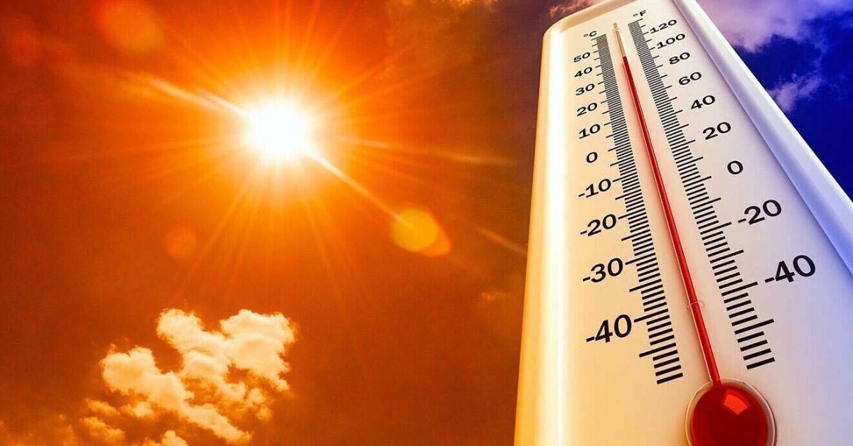 Cómo protegerse durante la ola de calor