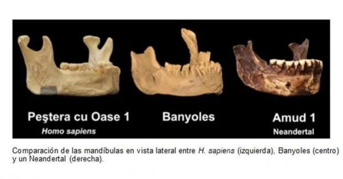 HM Hospitales investiga fósiles humanos junto a la Universidad de Alcalá de Henares
