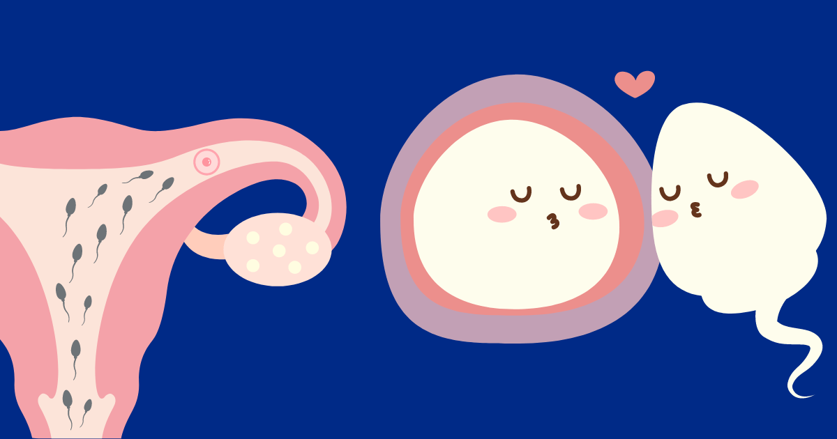 fertilidad